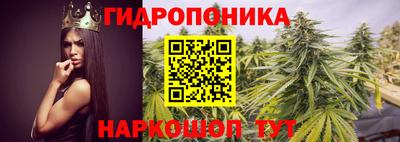 амф Старая Купавна