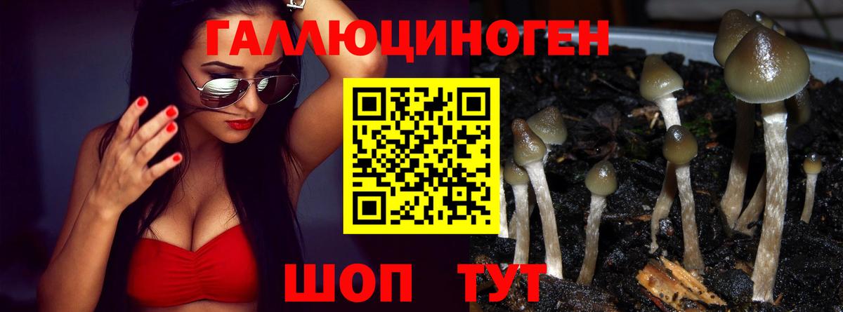 Псилоцибиновые грибы Psilocybine cubensis  Вход с VPN  Новый Уренгой  Галлюциногенные грибы MAGIC MUSHROOMS 
